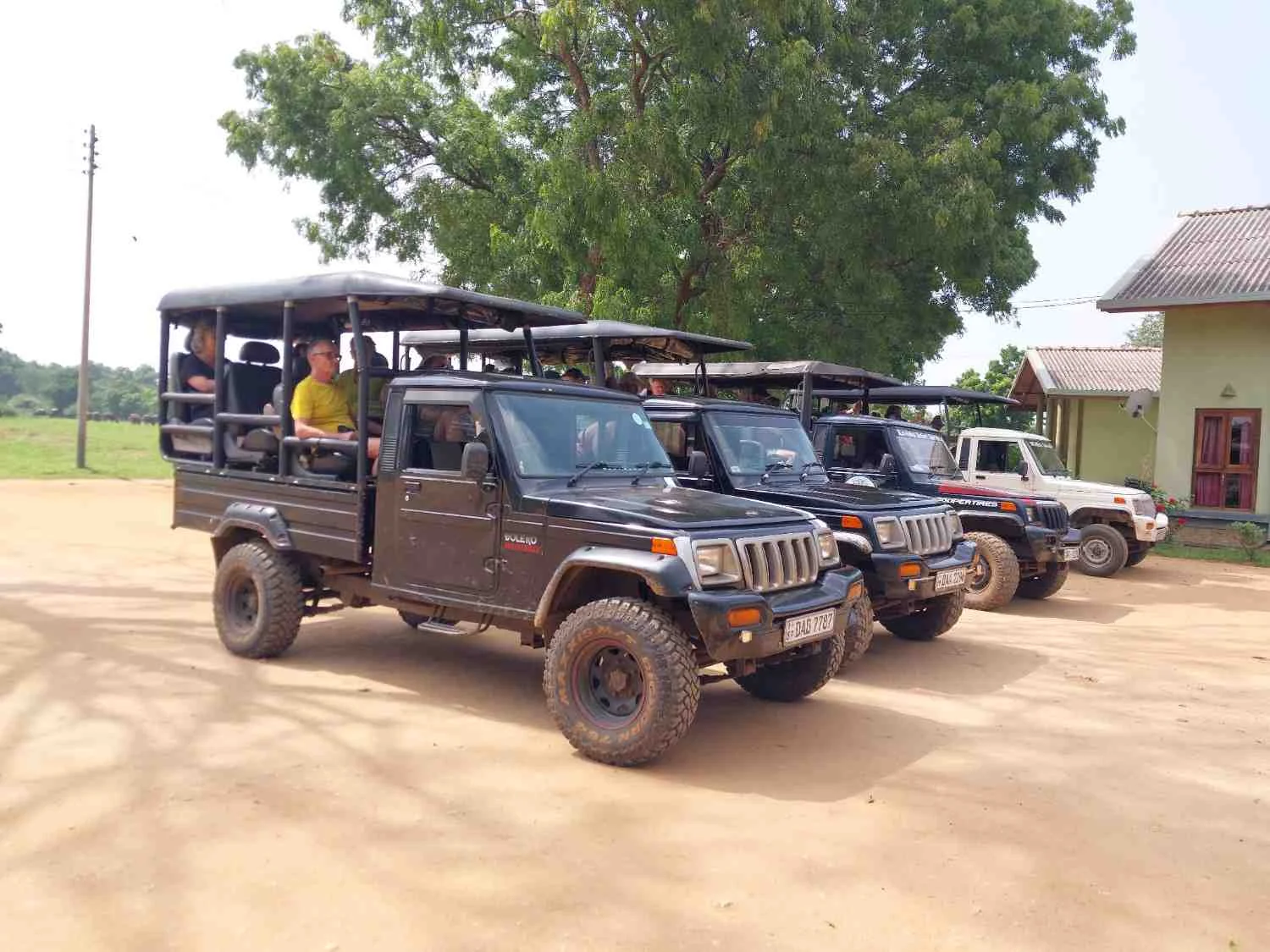 Customized 4x4 Safari Jeep Udawalawe Sri Lanka